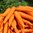 Gourmet-Karotten (1kg)