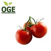 Tomaten, Cherrystrauchtomaten (250g)