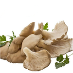 Pilze, Austernpilze (250g)