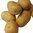 Heide Kartoffeln (5kg Sack)