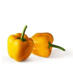 Paprika Mini gelb (200g)