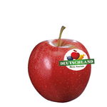 Apfel Gala neue Ernte (500g)