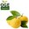 Zitronen mit Blatt "Amalfi" (1kg)