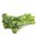 Wilder Broccoli Bimi (200g)