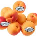 Aprikosen SanLucar (500g)