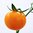 Tomaten Rispen orange (500g)