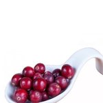 Cranberries (340g)