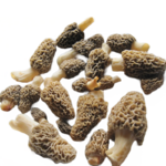 Pilze, Morcheln frisch (250g)