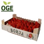 Erdbeeren (1kg Steige)