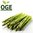 Beelitzer Spargel grün (500g)