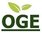 Beelitzer Spargel grün (500g)