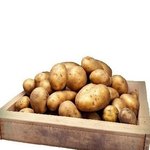 Kartoffeln Linda (5kg Box)